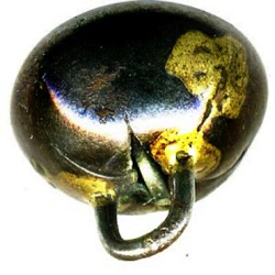 Loop or Brazed loop shank - shell set in metal (#7, #29)